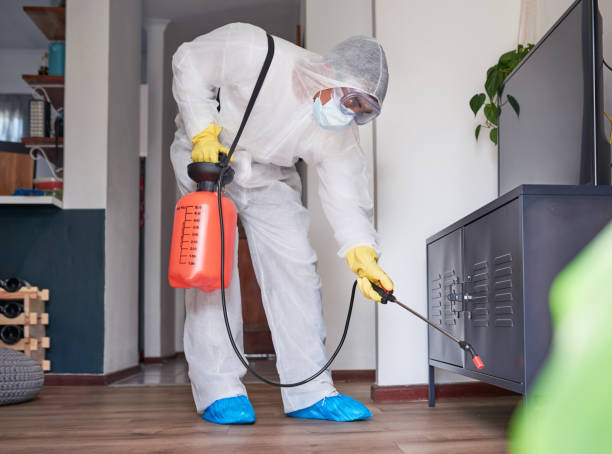 Pest Control