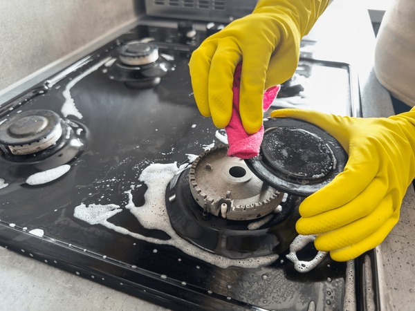 Daily House Maintenance